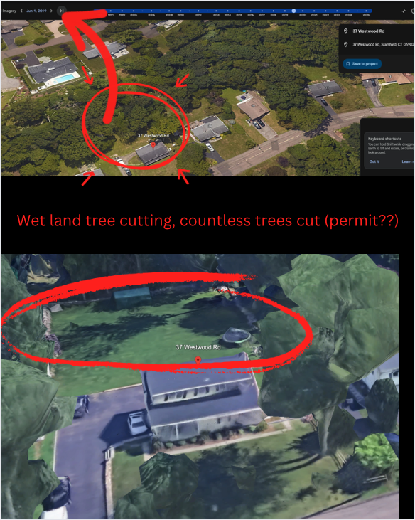 Historical tree clearing around 37 Westwood Road Stamford Connecticut